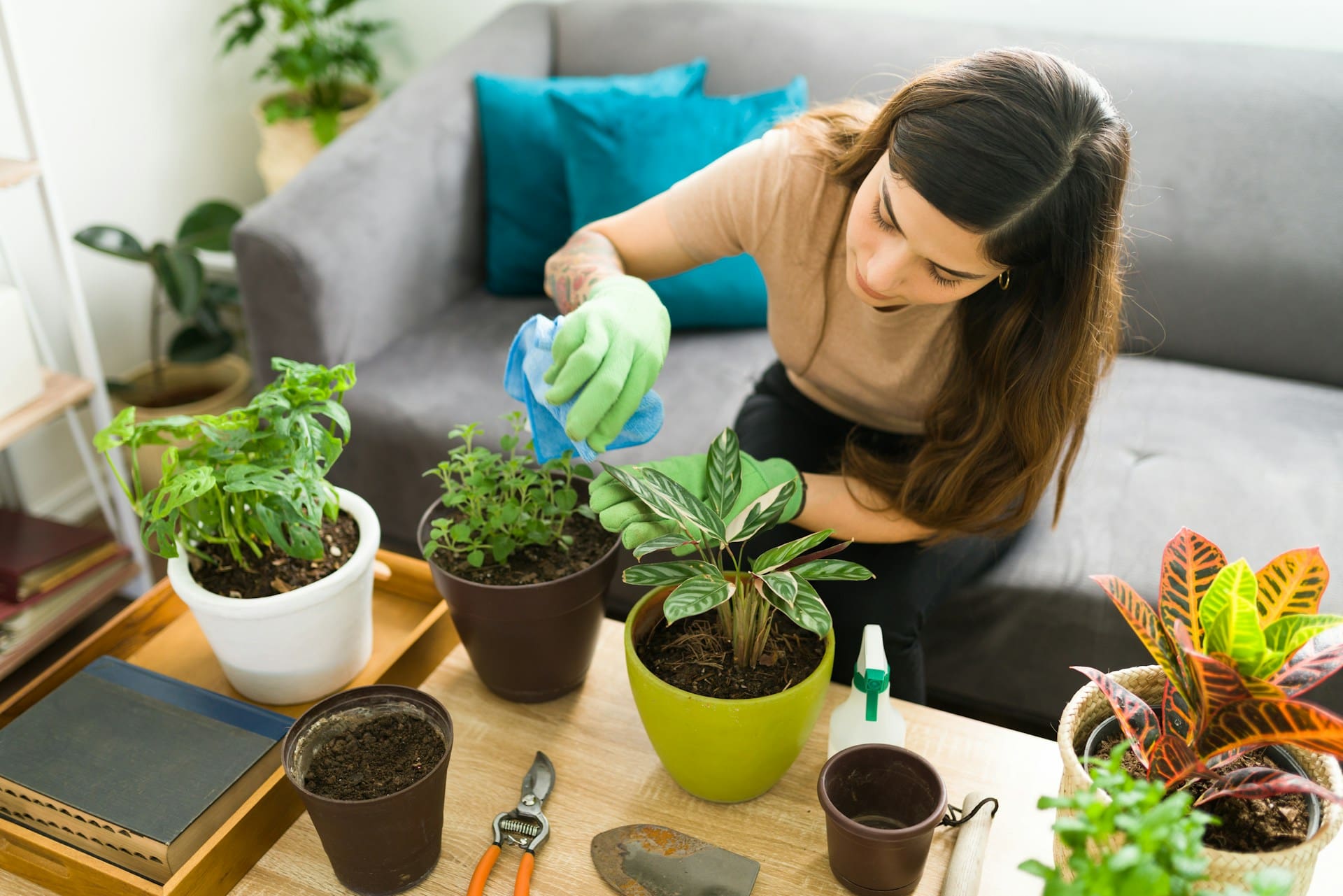 Home Staging